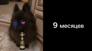 Сколько осталось до лета: