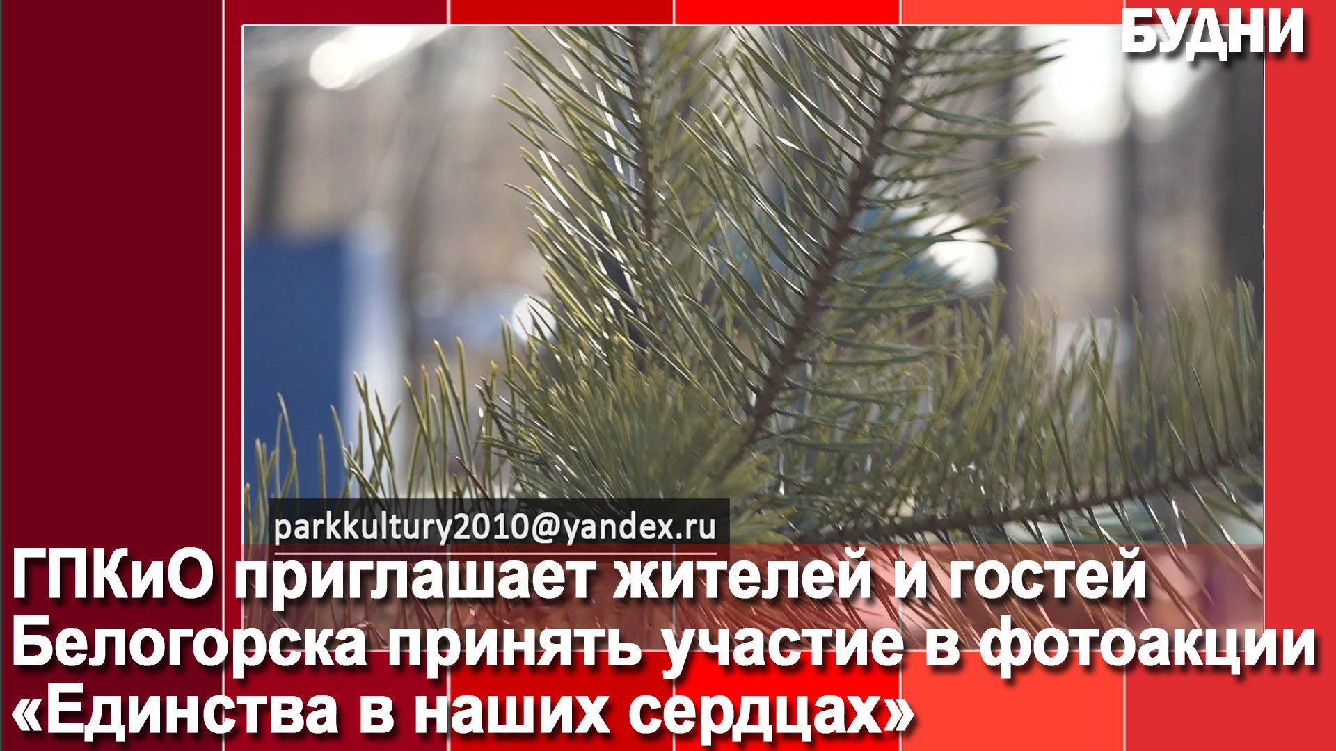 Фотоакции «Единство в наших сердцах»