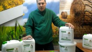 Чем и как подкормить зерновые культуры