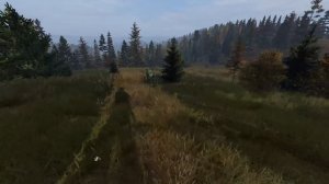 Дневник "Барсука". Серия 27: "Исследование Зоны" (DayZ Stalker RP)