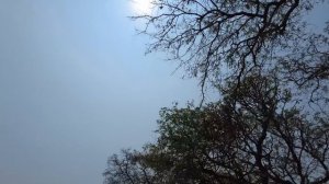 КО СИЧАНГ. ОСТРОВ НЕ ДЛЯ ВСЕХ! КАК ДОБРАТЬСЯ. ЧТО ПОСМОТРЕТЬ. ПЛЯЖ И ЦЕНЫ. KOH SICHANG