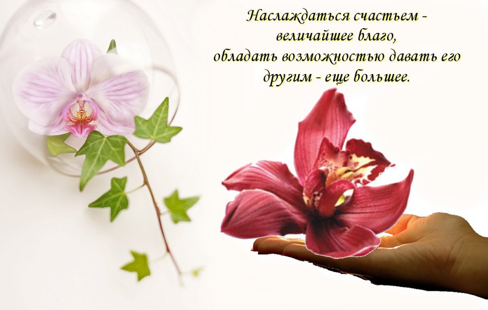 Доброе Утро! Утро Началось! Позитив с утра!