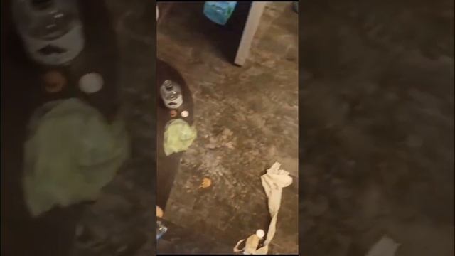 Уборка квартиры после смерти человека. До и после смотреть онлайн