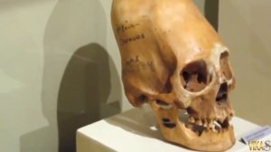 АНТАРКТИДА. УЖАСАЮЩИЕ НАХОДКИ  ПОДО ЛЬДОМ. МИСТИКА. УЖАСЫ