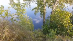 СОМ НА ВОРОНУ НА ЛЯГУШКУ НА ПИЯВКУ НА ВОБЛЕР ТРОЛИНГ ЛОВЛЯ БЕЛОЙ РЫБЫ ОБЗОР