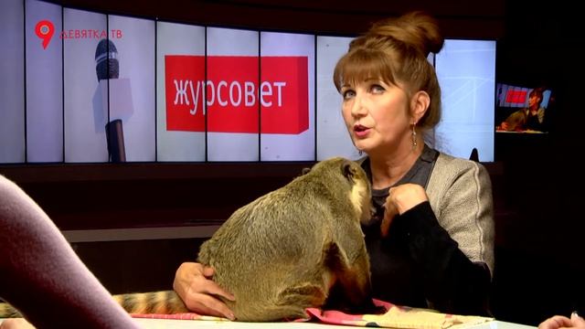 Журсовет 04.10.2017 Всемирный день животных смотреть онлайн