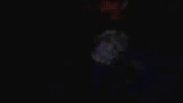 Собака крутится за хвостом смотреть онлайн