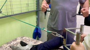 Лечение сколиоза и плоскостопия у подростка