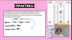 #2 Генетический код | Задачи 27 на синтез белка | Правильное оформление | ЕГЭ Биология