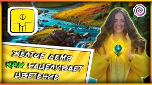 4. ЖЁЛТОЕ СЕМЯ | СОЛНЕЧНАЯ ПЕЧАТЬ КАЛЕНДАРЯ МАЙЯ