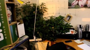 Гидропоника и аквариум(Часть 1)