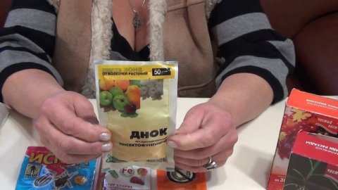 Проводим ревизию препаратов для обработки сада и огорода.