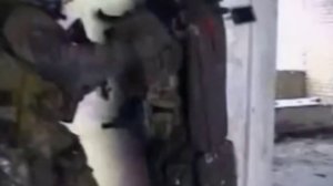 поздравление с днем ФСБ