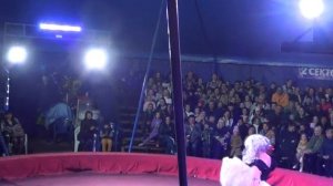 ЦИРК ДЖОКЕР ЧАСТЬ 1