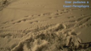 Пытаюсь найти щуку но она брать не хочет -26