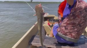 РЫБАЧИМ И ЛОВИМ В АСТРАХАНИ.