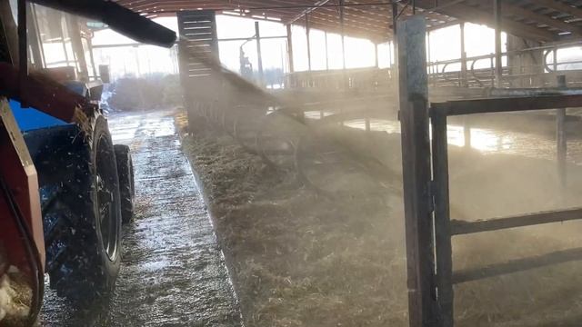 Два рулона в резчике соломы - делаем подстилку в боксы