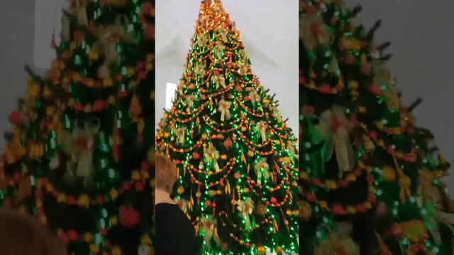 самая большая ёлка в Клину смотреть онлайн