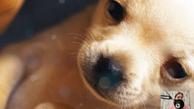 Женщина скрывала 15 лет от своего мужа эту историю, а когда она решила ему рассказать, тот был... смотреть онлайн