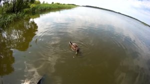 Глазовское водохранилище во Владимирской области.