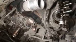 TLC 200 2UZ - FE VVT-i (Обслуживание привода ГРМ) История с медведем в Тайге