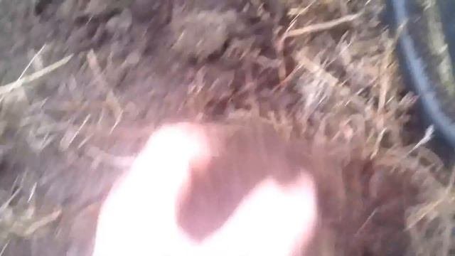 Коп на месте старой крепости.