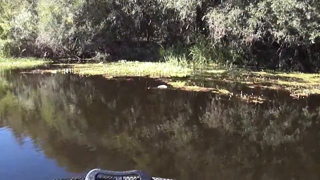 Río Mocoretá I.MP4 смотреть онлайн