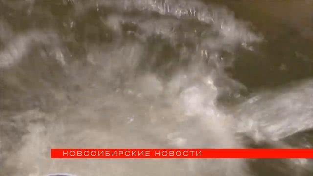 Новосибирские новости, осетровая ферма смотреть онлайн