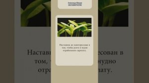 Стать наставником собственному сыну. Наставничество. Александр Шевцов