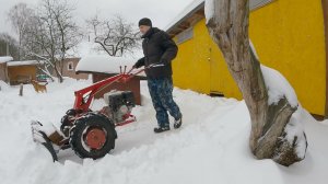 По паспорту "Пестрянка", откапываюсь каждый день, двинулись дела в пристройке! Жизнь в деревне!