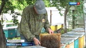 В Адыгее в разгаре медовый сезон