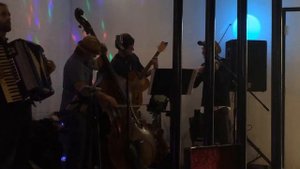 Diga Diga Doo, Upright Bass Solo "The Gypsy Playboys"