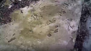 Измельчитель веток  ЗУБР ЗИЭ44-2800 - подготовка к работе