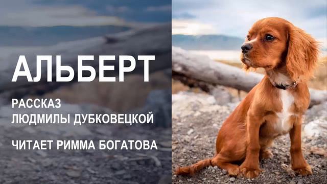 В конце рассказа я расплакалась смотреть онлайн