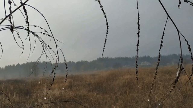 ПРИМЕТЫ ПРО ПОДКОВУ . КАК ПРАВИЛЬНО ВЕШАТЬ ПОДКОВУ ... народные приметы и поверья смотреть онлайн