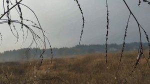 ПРИМЕТЫ ПРО ПОДКОВУ . КАК ПРАВИЛЬНО ВЕШАТЬ ПОДКОВУ ... народные приметы и поверья