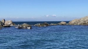 Ларги возле полуострова Гамова