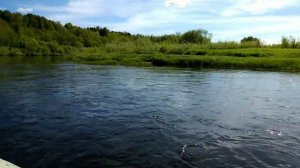 Новгородская область, река Мста. 19.05.2019 #Yamaha8