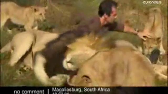 Свой среди своих смотреть онлайн