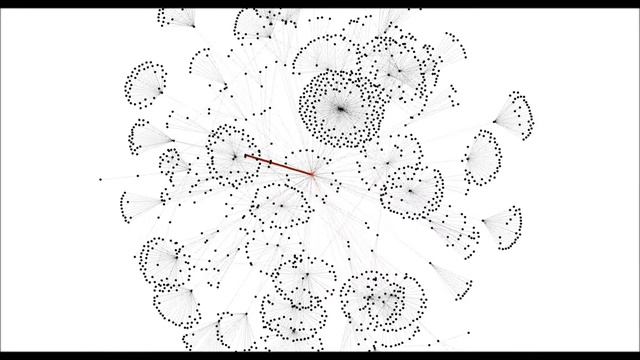 Визуализация развития информационной сети секты пеуновой, выполненная с помощью программы Gephi смотреть онлайн