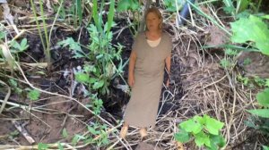 Орех ланкастерский. Жизнь после зимовки.