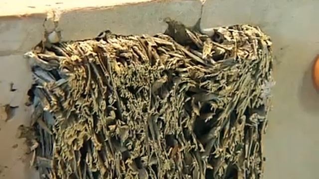 Производство таумалитовых плит смотреть онлайн