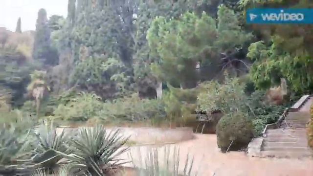 Пальмарий Никитского Сада. смотреть онлайн