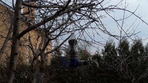 Кормушка для синиц без воробьев в действии