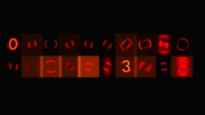 Цифровые эффекты на черном фоне