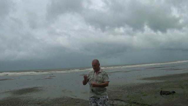 Як ми рвали кокос/Український вірш на малайзійський манер/вірш Лесі Українки смотреть онлайн