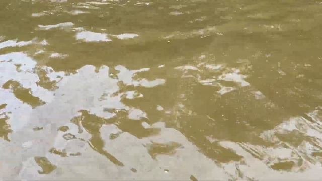 Рыба горячего копчения. Отдых на море. Купание и загорание. 17 августа 2023 г. смотреть онлайн