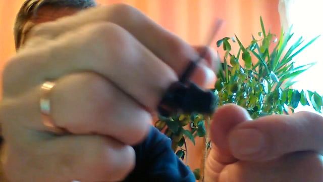 Спортивные наушники FONGE S500 - посылка с AliExpress смотреть онлайн