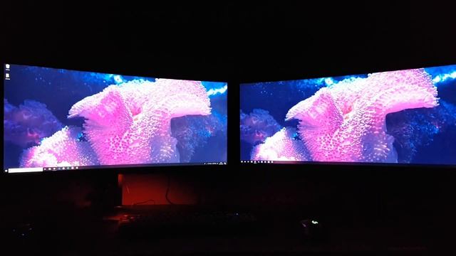 HP x35 Omen vs Acer Predator x34p #2 Wallpapers смотреть онлайн