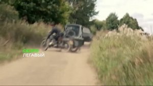 Легавый 2